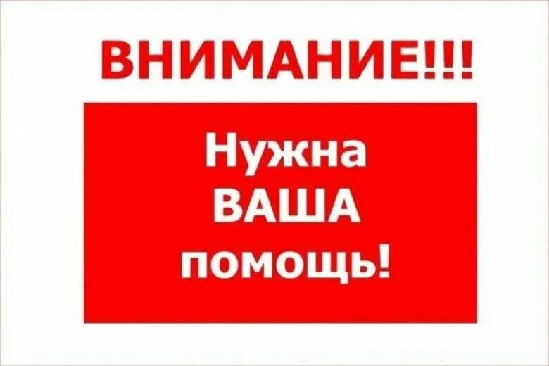 Сбор средств для адвоката