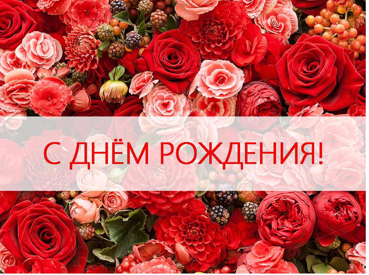 ПОЗДРАВЛЯЕМ КОЛЛЕГ, РОДИВШИХСЯ В НОЯБРЕ!